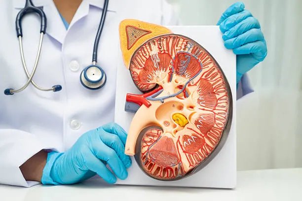 CKD Management